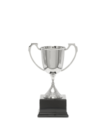  Nickel Sports Cup 20.5cm