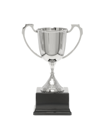  Nickel Sports Cup 28cm