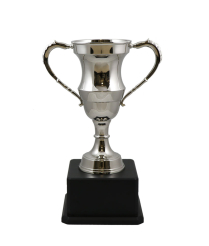  Kent Nickel Cup  37cm