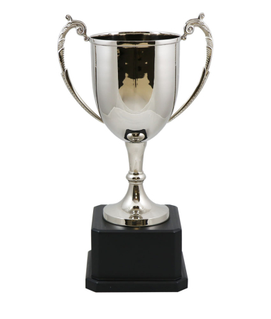  Sussex Nickel Cup 43cm