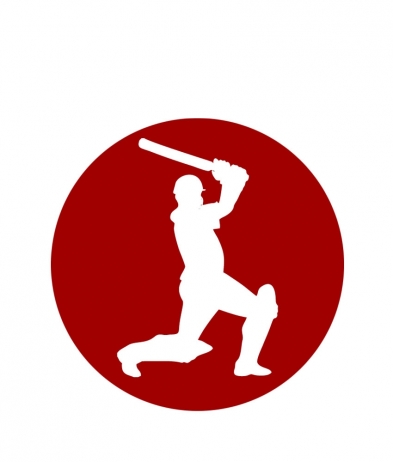 CRIC212 Cricket - Insert 50mm