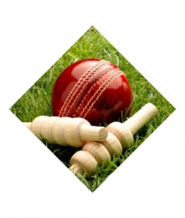 CRIC701 Cricket - Sports Insert