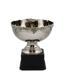  Newport Nickel Cup 29cm