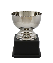  Richmond Nickel Cup 26cm