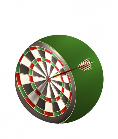 DART205 Dart Board - Insert 50mm