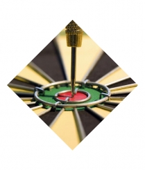 DART701 Darts - Sports Insert