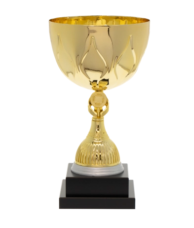 EC0011 Euro Cup - Rome 29cm