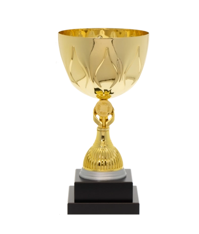 EC0012 Euro Cup - Rome 27cm