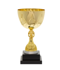 EC0012 Euro Cup - Rome 27cm