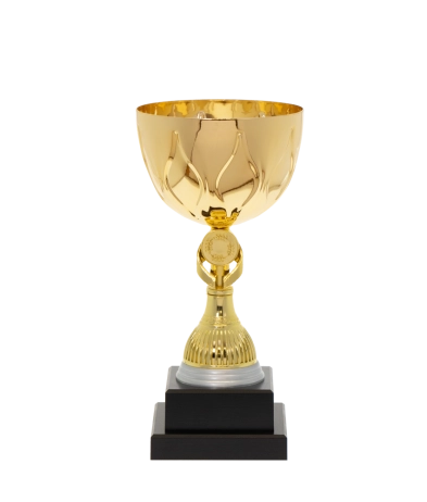 EC0013 Euro Cup - Rome 24.5cm