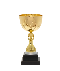 EC0013 Euro Cup - Rome 24.5cm