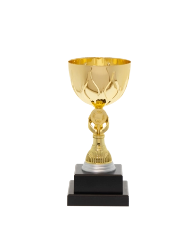 EC0014 Euro Cup - Rome 22.5cm