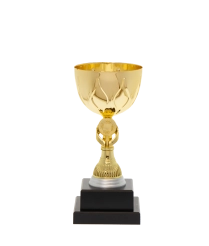 EC0014 Euro Cup - Rome 22.5cm