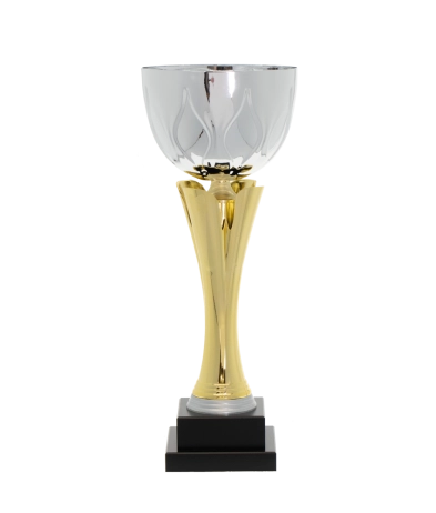 EC0032 Euro Cup - Naples 36cm