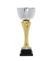 EC0032 Euro Cup - Naples 36cm