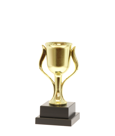 EC0272 Tulip Cup - 21.5cm