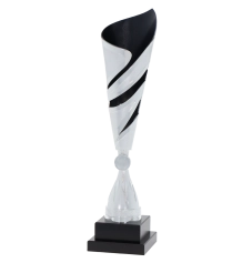  Euro Cup - Inverness 41cm