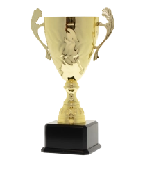 EC0421 Euro Cup - Siena Gold 41cm
