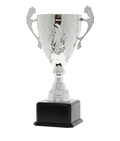 EC0431 Euro Cup - Siena Silver 41cm