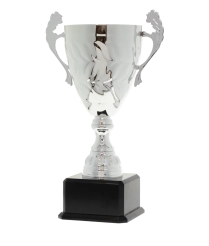 EC0431 Euro Cup - Siena Silver 41cm