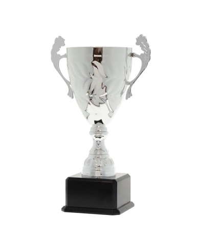 EC0432 Euro Cup - Siena Silver 36cm