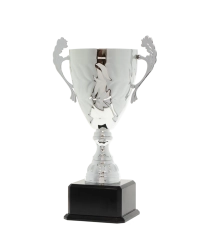EC0432 Euro Cup - Siena Silver 36cm