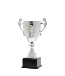 EC0433 Euro Cup - Siena Silver 32cm