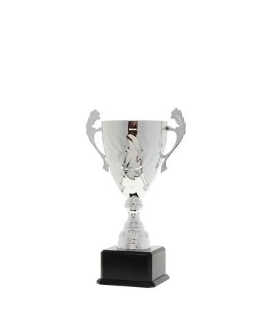 EC0434 Euro Cup - Siena Silver 27cm