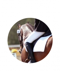 EQUE201 Equestrian - Dome 50mm