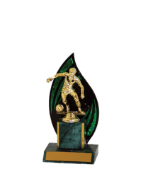  Flameback Trophy <Br>20cm