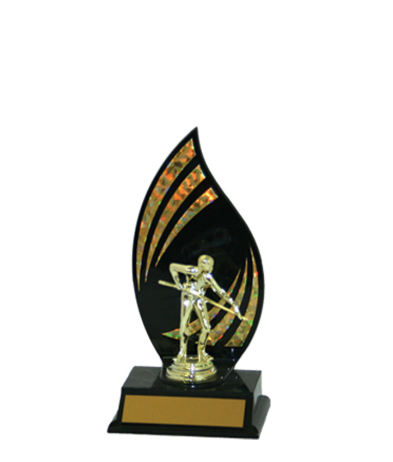  Flameback Trophy <Br>21.5cm