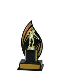  Flameback Trophy <Br>21.5cm