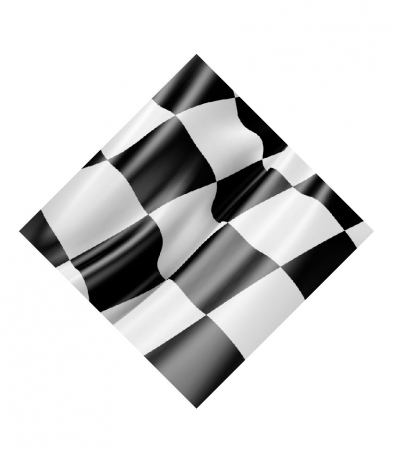 FLAG701 Flag - Sports Insert