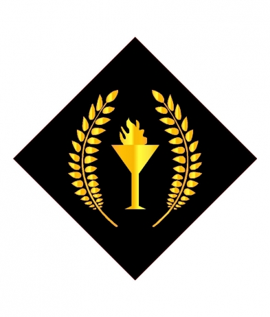 FLAM701 Flame - Sports Insert