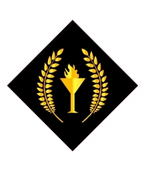 FLAM701 Flame - Sports Insert