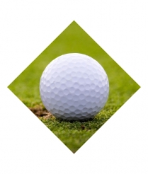 GOLF701 Golf - Sports Insert