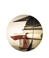 LEAR203 Learning - Dome 50mm