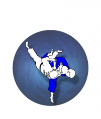 MARI206 Martial Arts - Dome 50mm