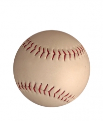 SOFT202 Softball  Ball - Dome 50mm