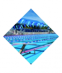SWIM701 Swimming - Sports Insert