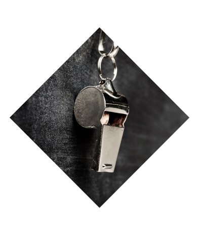 WHIS701 Whistle - Sports Insert