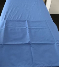 FLAT SHEET BLUE LARGE DISP (HN-DSMS200120-25)  CTN100