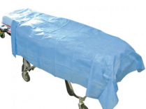 FLAT SHEET LIGHT BLUE DISP (DPP20070-40) CTN/100