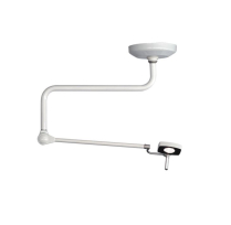 CEILING LIGHT MSL SERIES 1 EXAMINATION (MSL-SL119C)