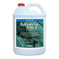 MATRIX MINT (132134)    2X5LTR   CTN