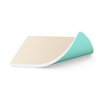 SORBACT FOAM DRESSING ST 10X10CM (S98310) BX/10