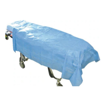 FLAT SHEET BLUE DISPOSABLE (DSMS20070-40)  CTN/100