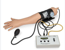 BLOOD PRESSURE TRAINING ARM LIFEFORM (LF01095) EA