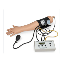 BLOOD PRESSURE TRAINING ARM LIFEFORM (LF01095) EA