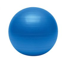 EXERCISE BALL 65CM (METBALL65CM) EA